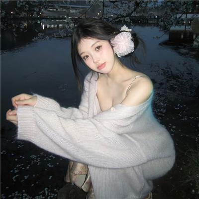 找数圣诞节 封面